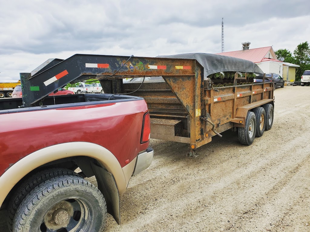 Hildebrand Sod Farm | Box 16, Stead, MB R0E 1Z0, Canada | Phone: (204) 635-2334