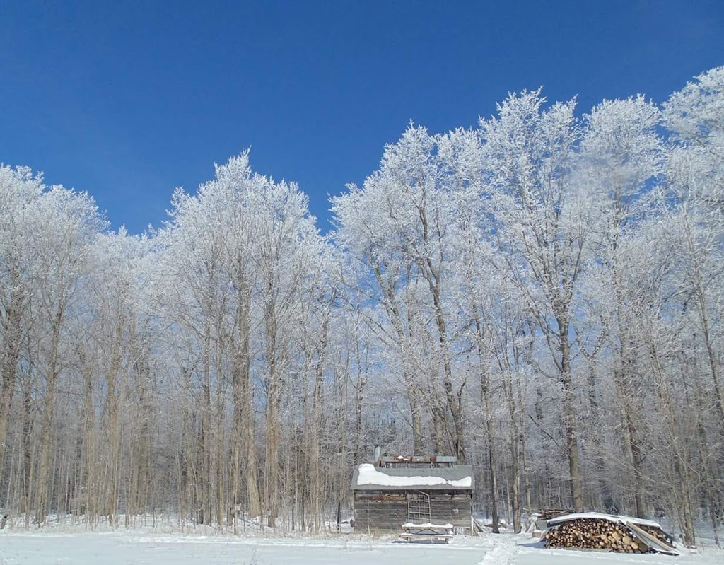 ElderTree Farm | 2592 Concession Road 13, Ramara, ON L3V 6H5, Canada | Phone: (705) 323-4997