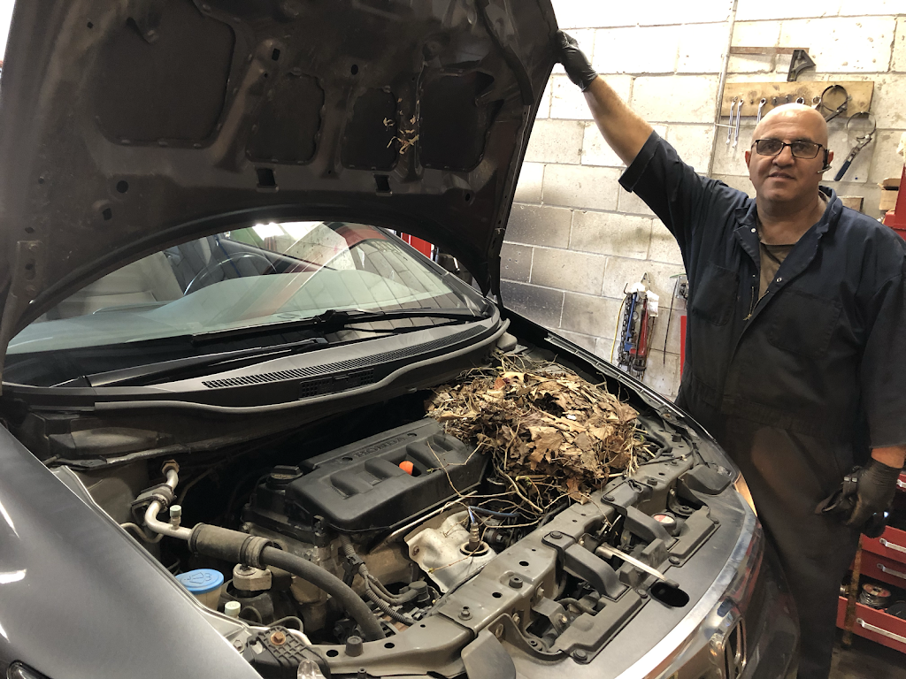 Firouz Auto Shop | 300 Enford Rd unit 11, Richmond Hill, ON L4C 3E8, Canada | Phone: (647) 527-5527