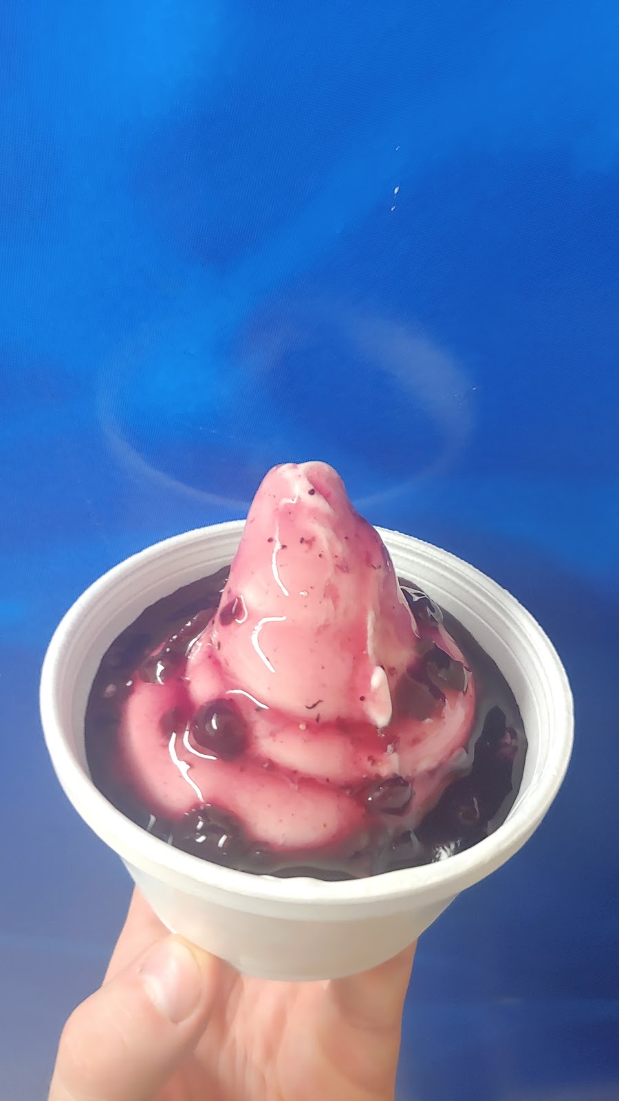 The Shake Shoppe | 4763 HWY 11/17, Kakabeka Falls, ON P0T 1W0, Canada | Phone: (807) 709-8686