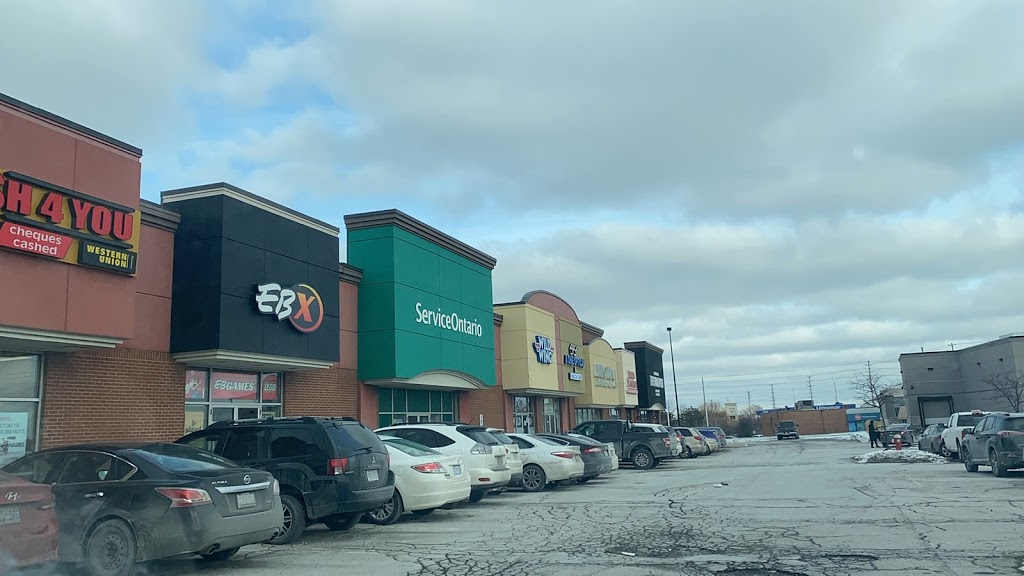 Wild Wing | 2880 Queen St E #3, Brampton, ON L6S 6E8, Canada | Phone: (905) 792-8188