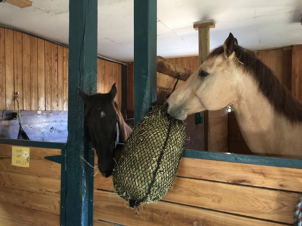 EquiSource | 5900 Route Arthur Sauvé, Mirabel, QC J7N 2W4, Canada | Phone: (514) 248-3833