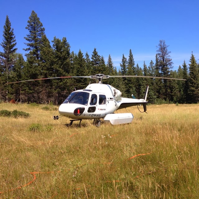 Sierra Helicopters | 11715 Baynes Rd, Pitt Meadows, BC V3Y 0A5, Canada | Phone: (604) 465-9005