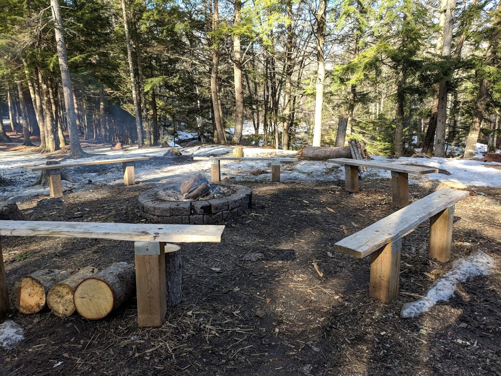 Dobson Trail | 633 Pine Glen Rd, Pine Glen, NB E1J 1S1, Canada | Phone: (506) 384-3212