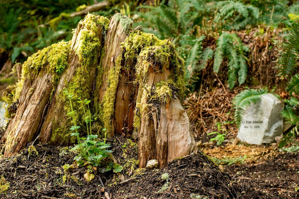 Salt Spring Island Natural Cemetery | 2100 Fulford-Ganges Rd, Salt Spring Island, BC V8K 1Z7, Canada | Phone: (250) 653-9884