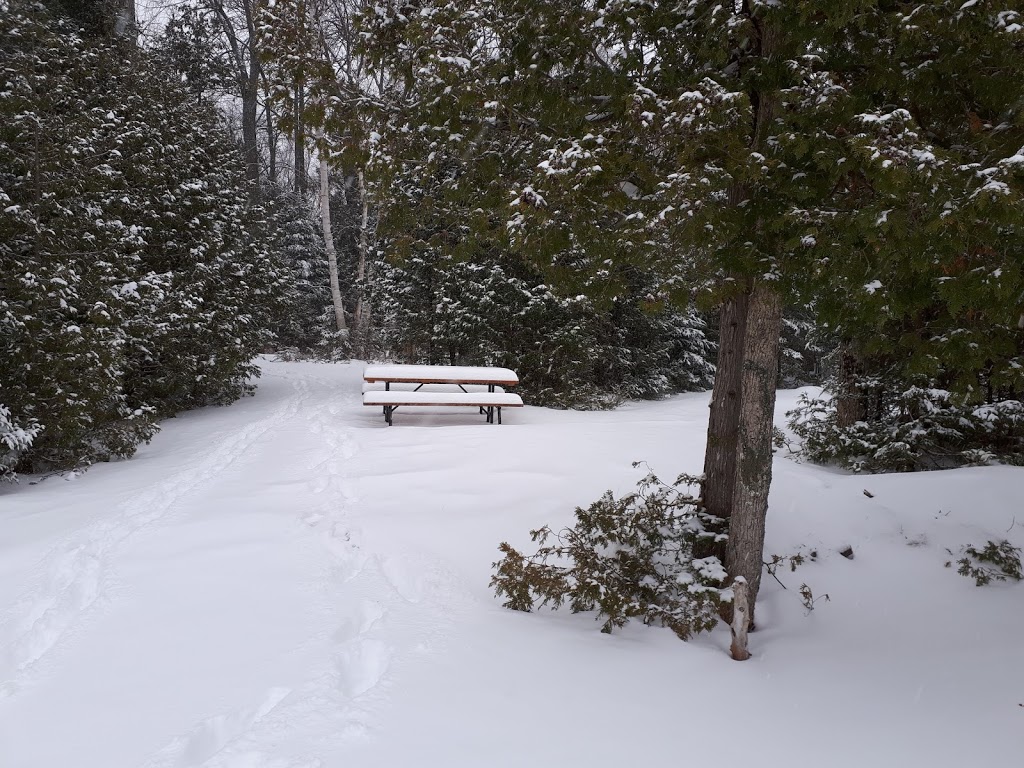 Menzel Centennial Provincial Nature Reserve | Roblin, ON K0K 2W0, Canada | Phone: (613) 335-2814