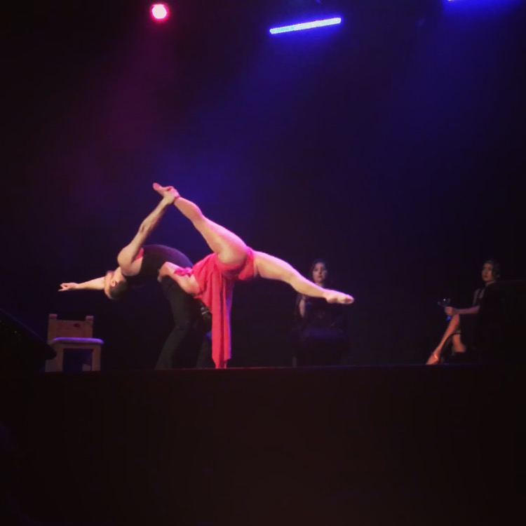 Collingwood Circus Club | 95 Sandford Fleming Dr, Collingwood, ON L9Y 5A6, Canada | Phone: (705) 444-9675