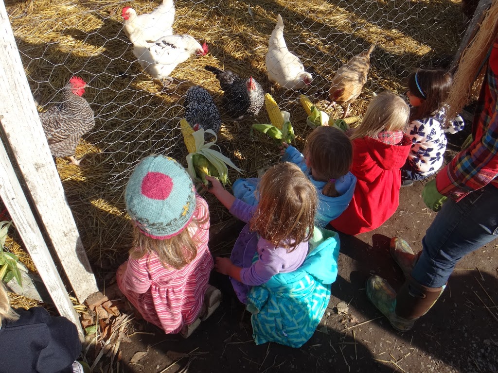 Whatcom Hills Waldorf School | 941 Austin St, Bellingham, WA 98229, USA | Phone: (360) 733-3164