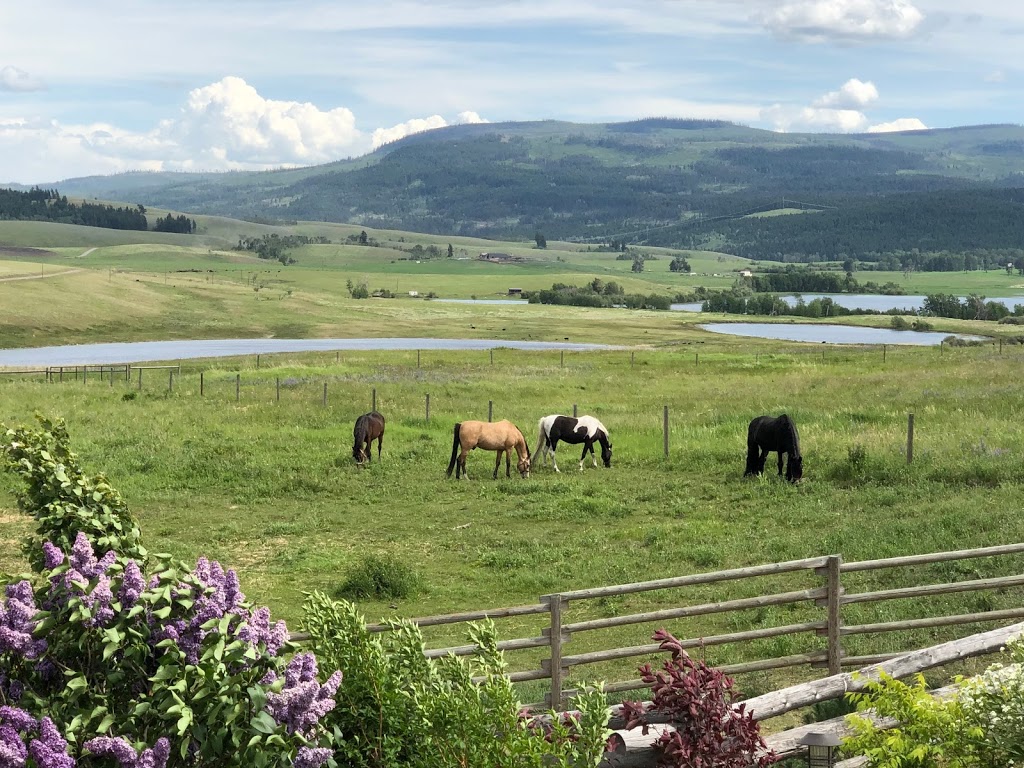 Akashic Ranch | 4032 Campbell Range Rd, Kamloops, BC V2C 6W4, Canada | Phone: (250) 573-1124