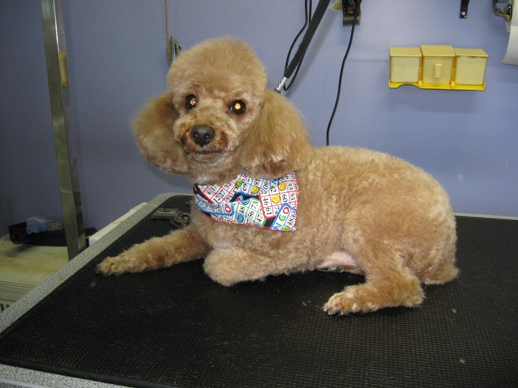 Aux PTits Soins | 191 QC-216, Stoke, QC J0B 3G0, Canada | Phone: (819) 878-3246