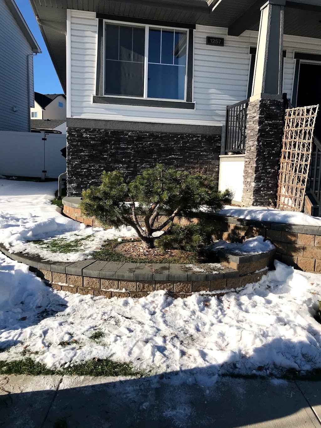 Precise Pruning Ltd | 30 East Lake Hill NE, Airdrie, AB T4A 2K2, Canada | Phone: (403) 948-6174