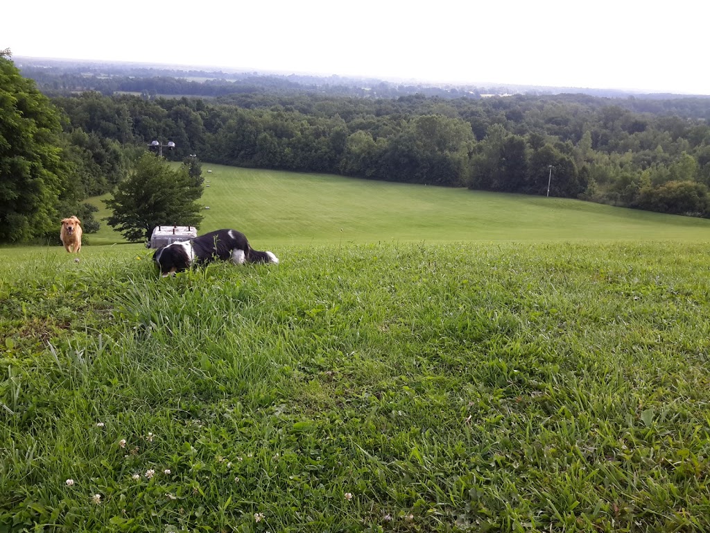 Bond Lake Park | 2571 Lower Mountain Rd, Ransomville, NY 14131, USA | Phone: (716) 439-7951