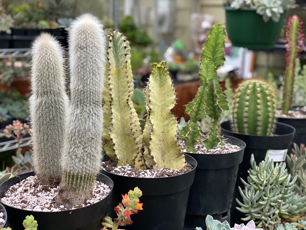 The Planted Farm | Succulents Victoria | 1340 Wain Rd, North Saanich, BC V8L 5V1, Canada | Phone: (250) 893-3547