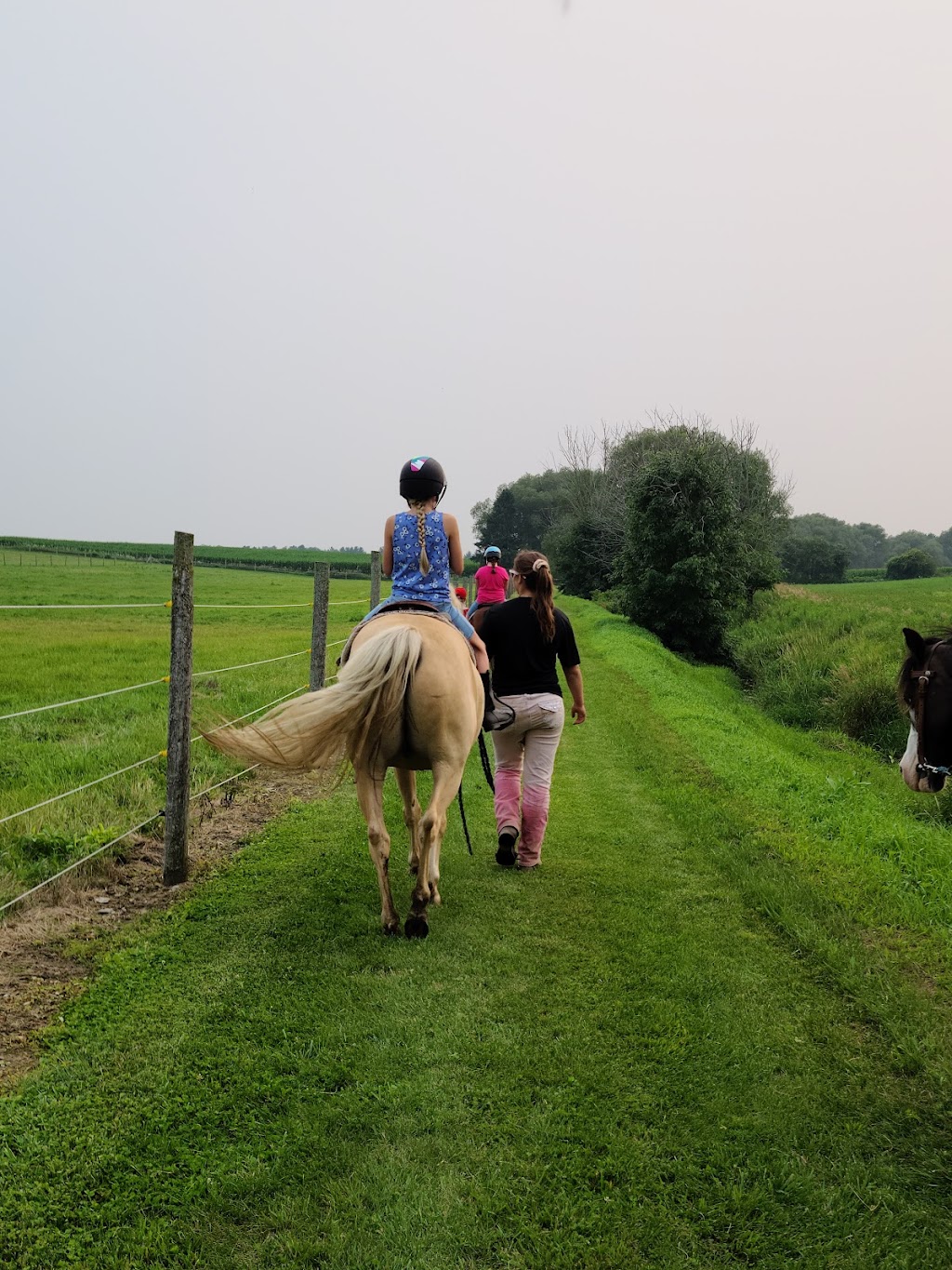 White Willow Equestrian Centre | 782668 Rd 78, Thamesford, ON N0M 2M0, Canada | Phone: (519) 860-6601