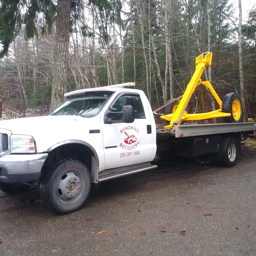 Roadkill Recovery | 684 Plaza Rd, Quathiaski Cove, BC V0P 1N0, Canada | Phone: (250) 287-1686
