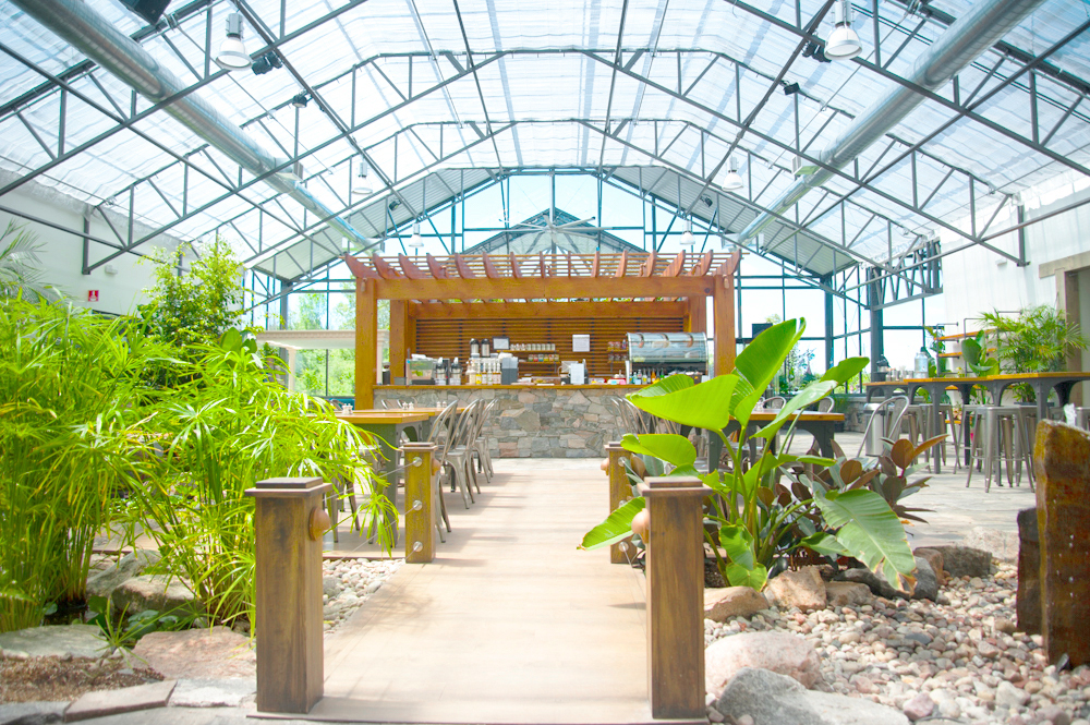 Aquatopia Water Garden Conservatory | 2710 March Rd, Carp, ON K0A 1L0, Canada | Phone: (613) 225-7663