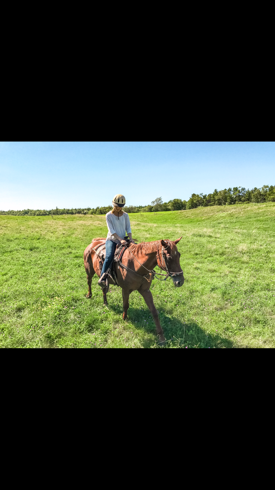 Evangeline Trail Rides | 2147 N River Rd, Scotch Village, NS B0N 2G0, Canada | Phone: (902) 632-2637