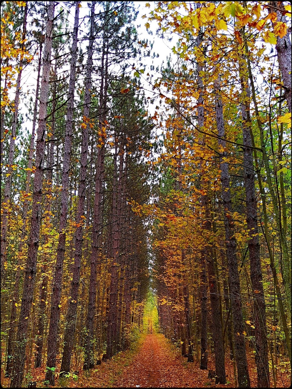 Patterson Tract | 15461 McCowan Rd, Whitchurch-Stouffville, ON L4A 0B1, Canada