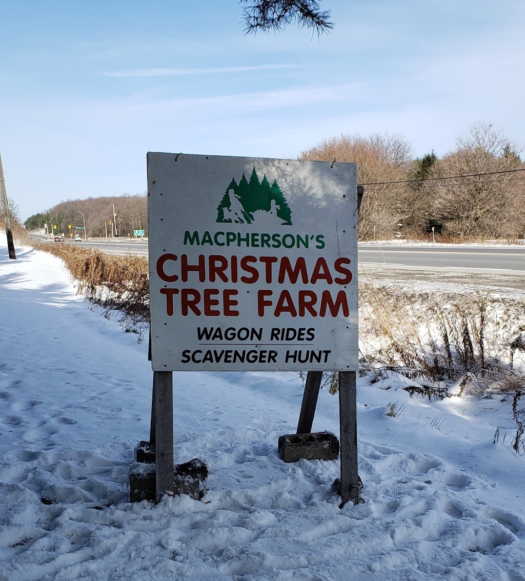 MacPherson Christmas Tree Farm | 17422 ON-48, Whitchurch-Stouffville, ON L4A 1Z1, Canada | Phone: (905) 717-0499