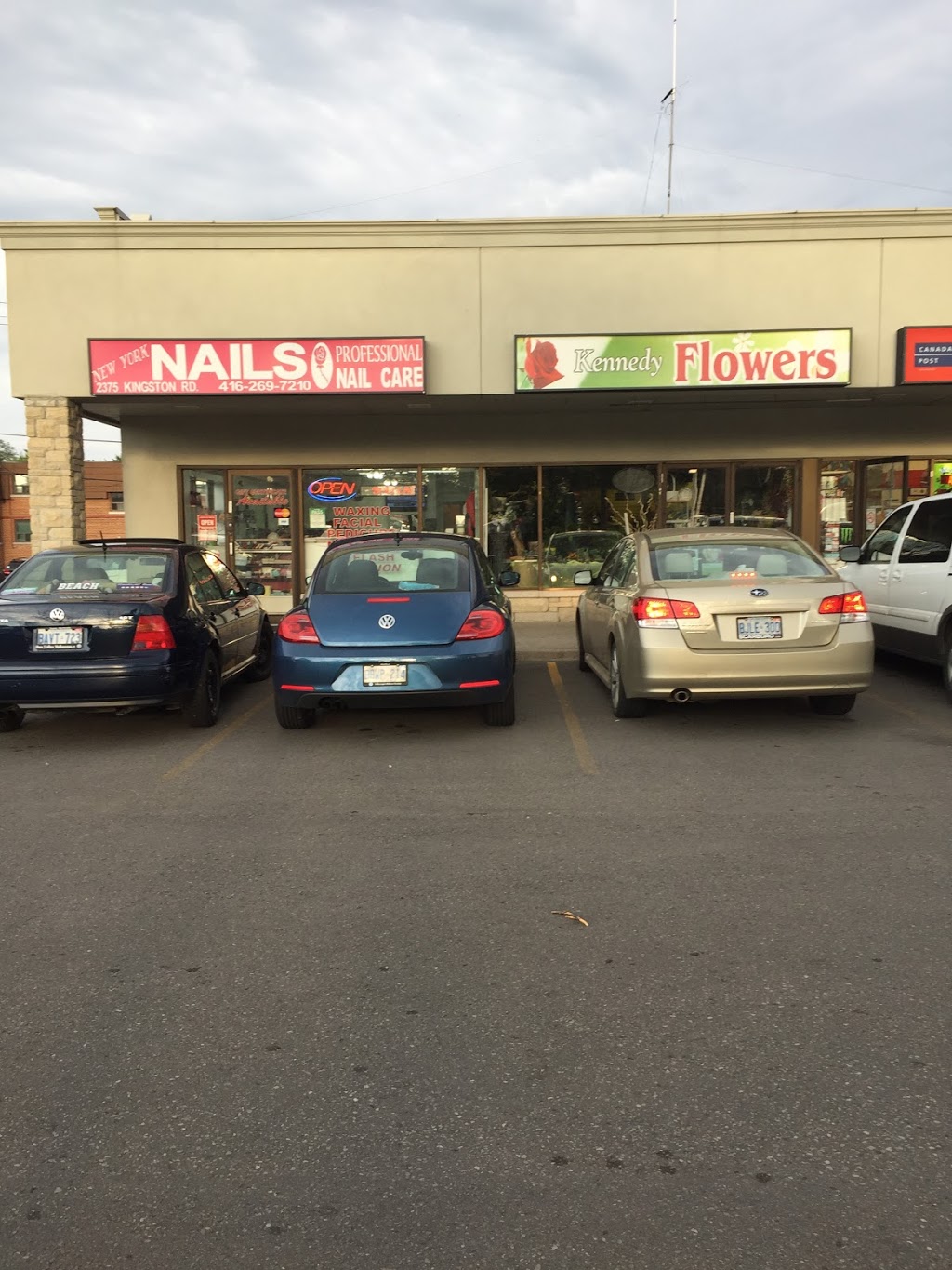 Kennedy Flowers | 2373 Kingston Rd, Scarborough, ON M1N 1V1, Canada | Phone: (416) 266-8778