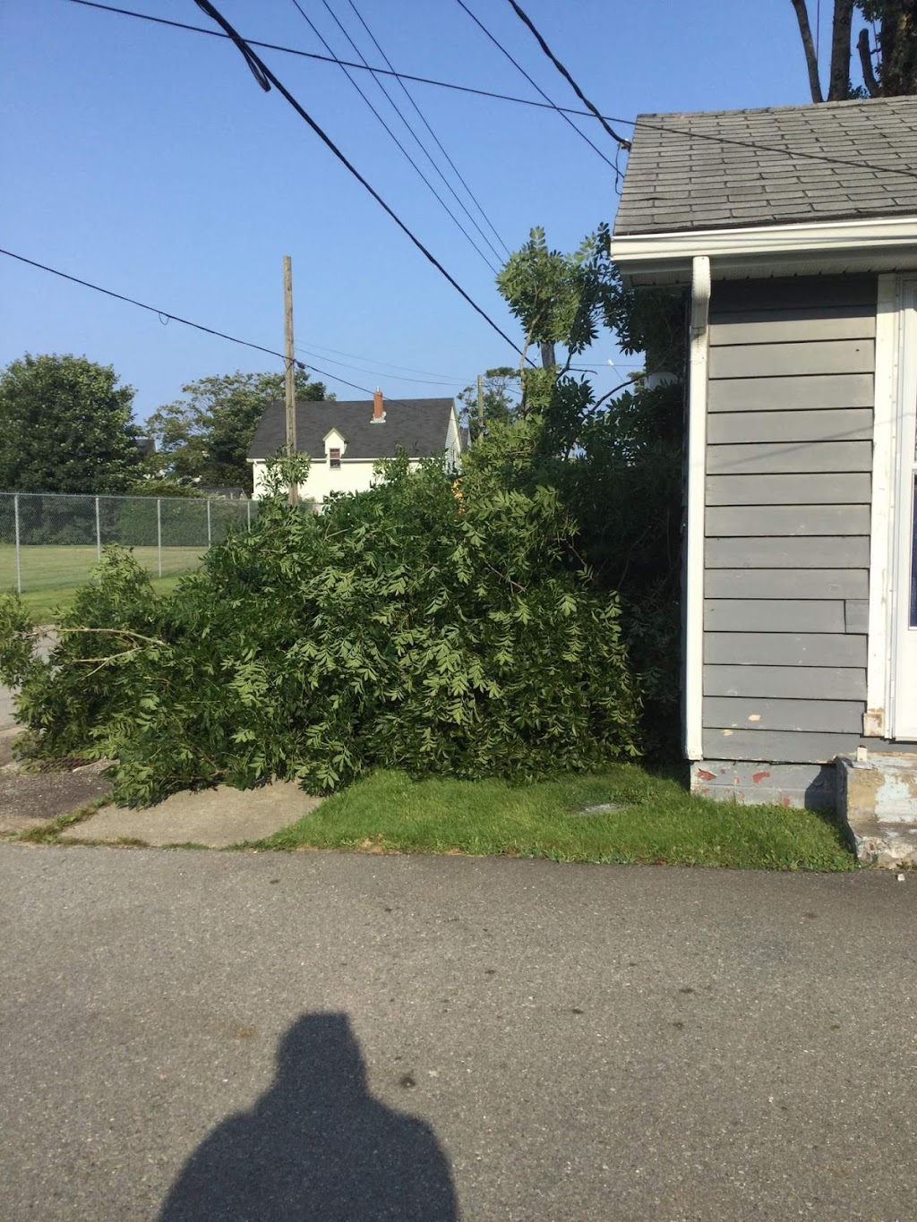 Burlin Nickerson Tree Service | 447 Nova Scotia Trunk 3, Lower East Pubnico, NS B0W 2A0, Canada | Phone: (902) 635-3154