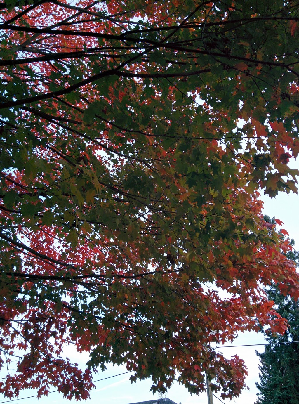 Leyton Tot Lot | 100 Prairie Dr, Scarborough, ON M1L 1L5, Canada