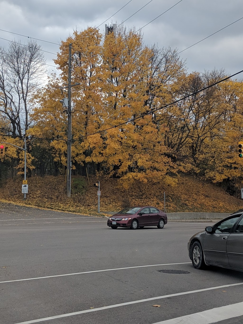 Fair Hospital Parking Charges | 300 Kingston Rd #13, Pickering, ON L1V 6Z9, Canada | Phone: (905) 509-0336