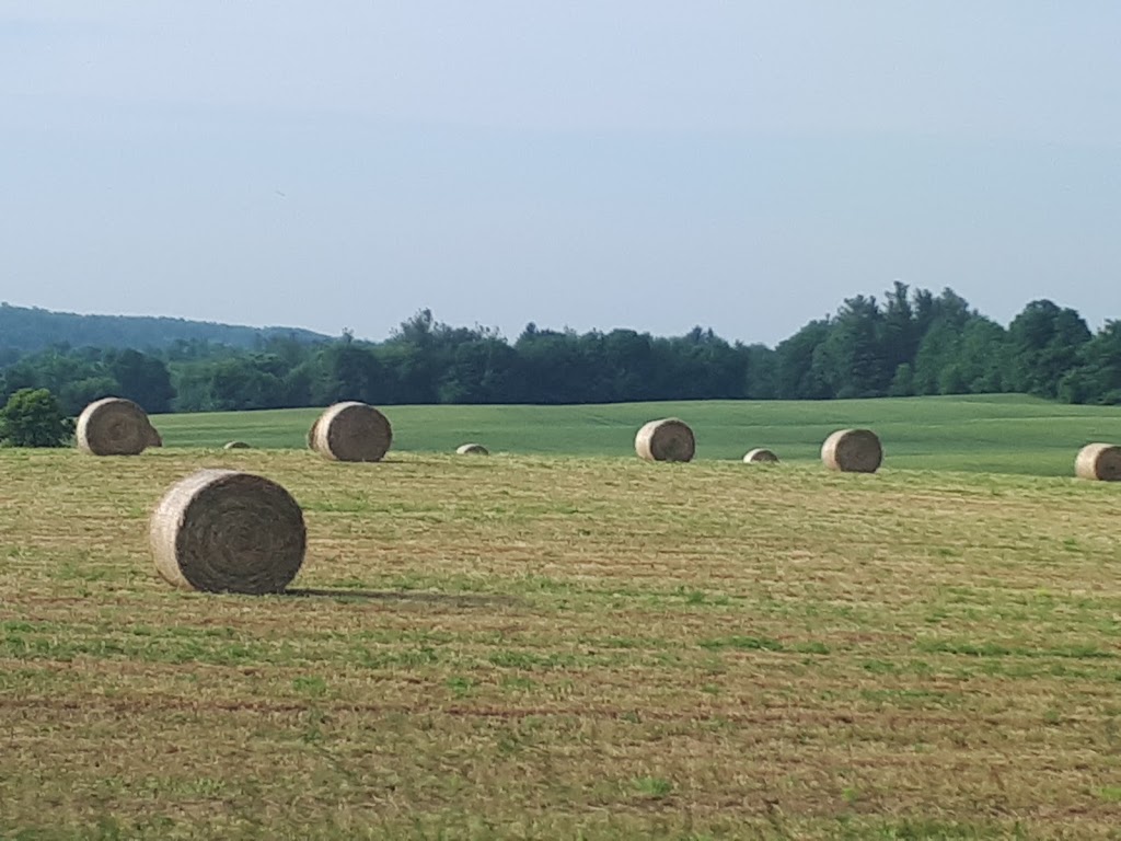 Warkworth Golf Club | 14267A, Northumberland County Rd 29, Warkworth, ON K0K 3K0, Canada | Phone: (705) 924-2569