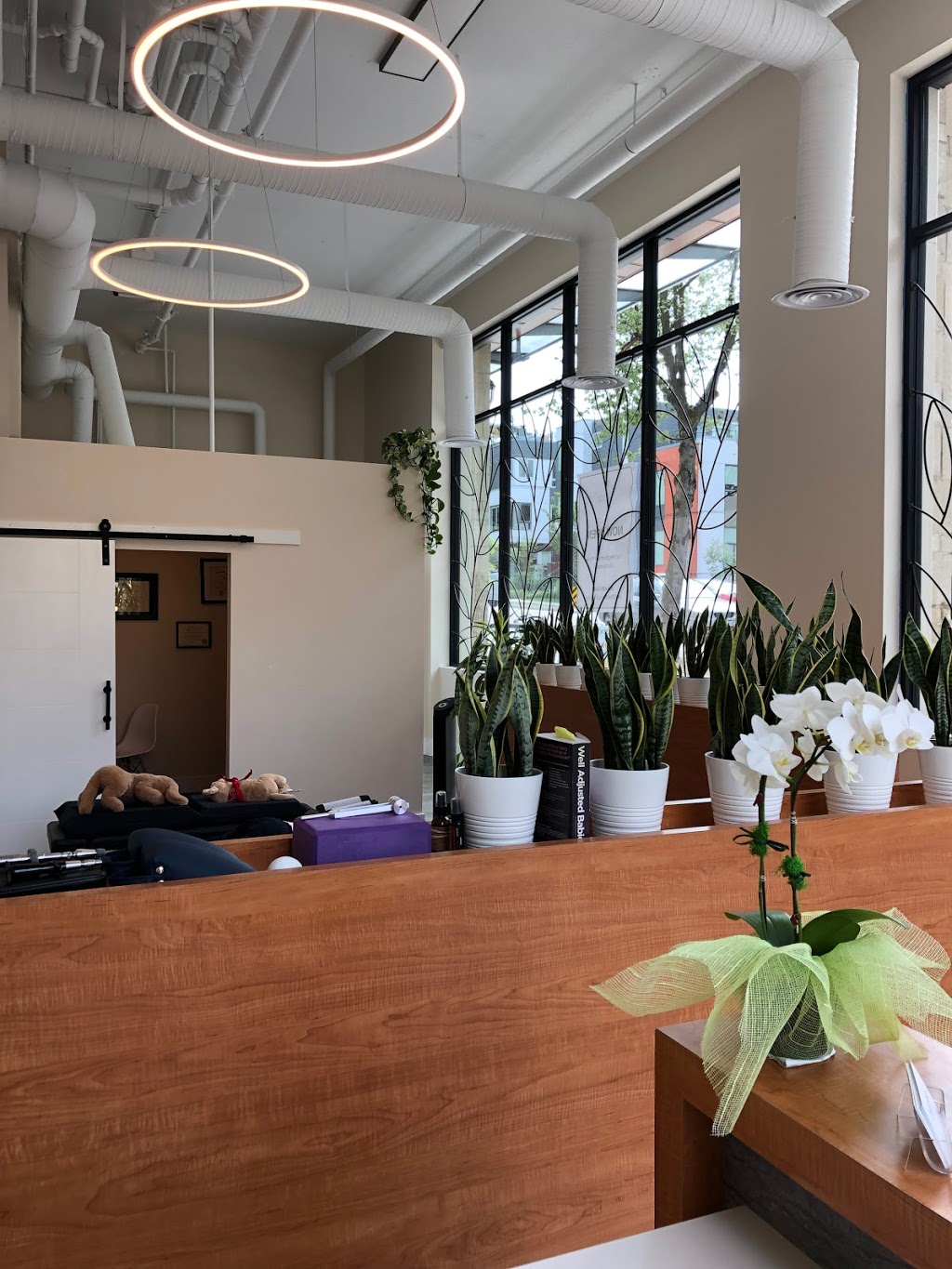The Chiro Culture | 550 Victoria Dr, Vancouver, BC V5L 4E2, Canada | Phone: (604) 428-5156