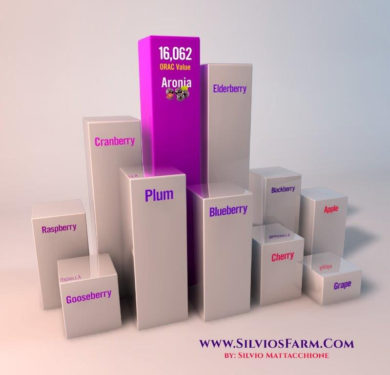 Silvios Aronia Farm | 1251 Scugog Line 8, Port Perry, ON L9L 1B2, Canada | Phone: (905) 985-3555