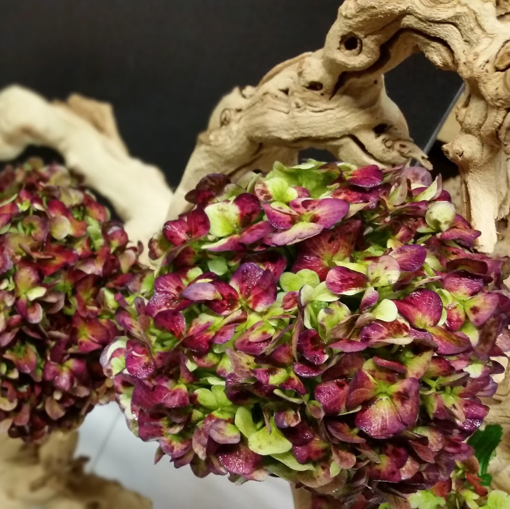 Fair Trade Floral | 7125 Pacific Cir #7, Mississauga, ON L5T 2A5, Canada | Phone: (905) 696-0440