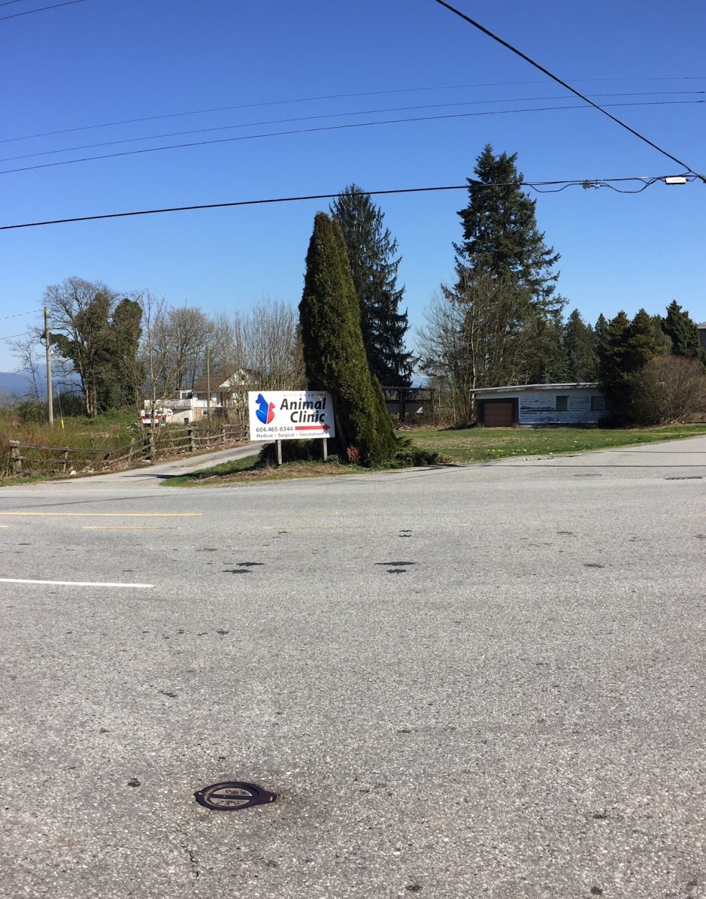 Pitt Meadows Animal Clinic | 19227 Lougheed Hwy, Pitt Meadows, BC V3Y 2J5, Canada | Phone: (604) 465-6344