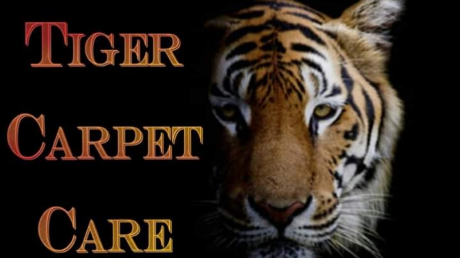 Tiger carpet care | 5495 Orchard Dr, East China, MI 48054, USA | Phone: (810) 420-0341