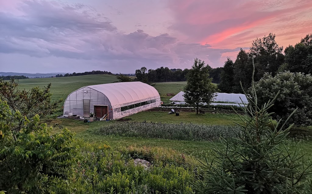 Artisan Maraîcher | 431 A Chemin Corey, Ayers Cliff, QC J0B 1C0, Canada | Phone: (819) 580-7827