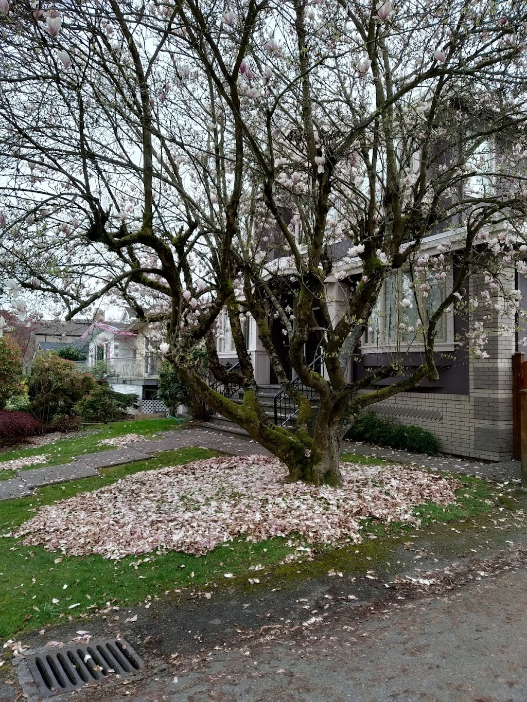 Balaclava Park | 4594 Balaclava St, Vancouver, BC V6L 2T2, Canada | Phone: (604) 873-7000