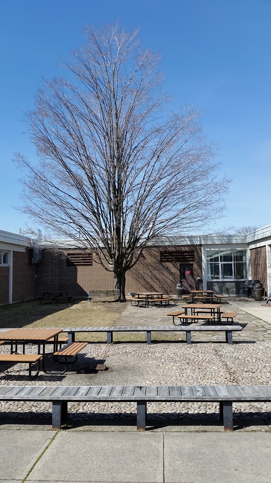 Bayview Secondary School | 10077 Bayview Ave, Richmond Hill, ON L4C 2L4, Canada | Phone: (905) 884-4453