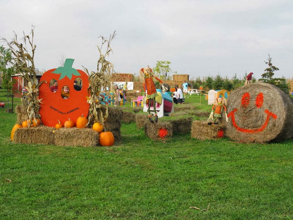 Shantz Family Farm - Closed for the Season | 1544 Bleams Rd, Petersburg, ON N0B 2H0, Canada | Phone: (519) 634-5252