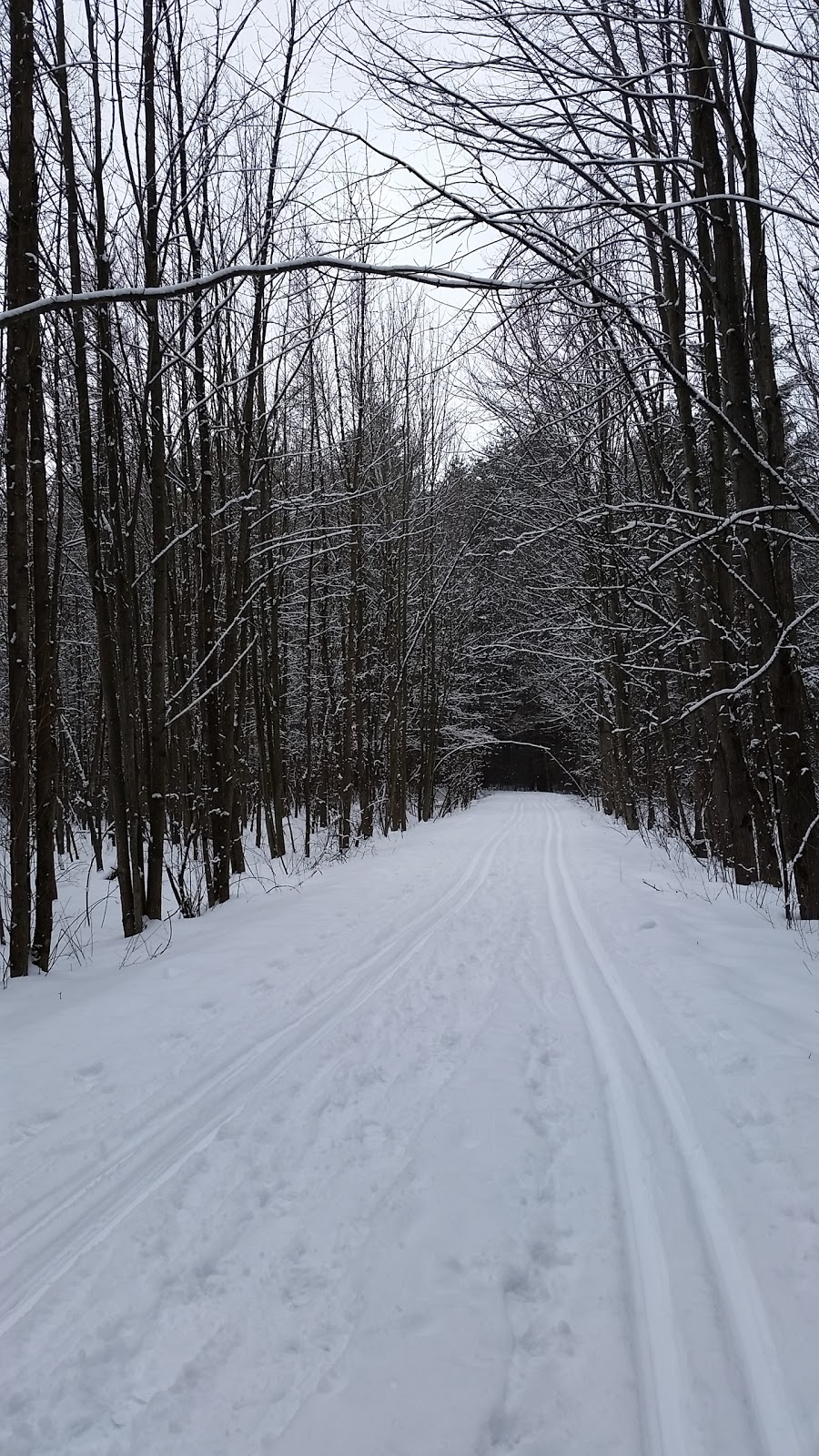 Greenbelt Parking P19 | Leitrim Rd, Ottawa, ON K0A 2Y0, Canada