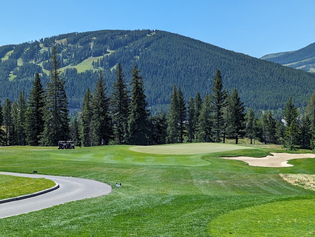 Crowsnest Acupuncture Clinic | 11757 21 Ave, Blairmore, AB T0K 0E0, Canada | Phone: (403) 459-9000
