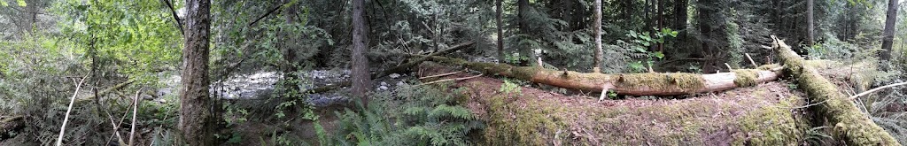 Lake Trail Guesthouse | 4787 Lake Trail Rd, Courtenay, BC V9N 9N2, Canada | Phone: (250) 338-1914