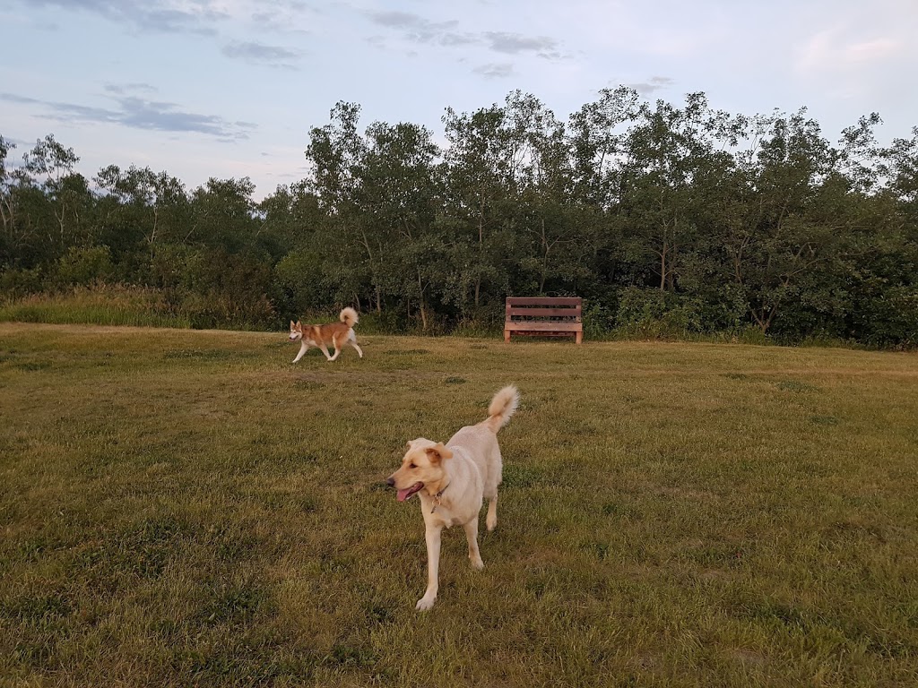 Off leash Park | Braeside, Calgary, AB T2W 1R9, Canada