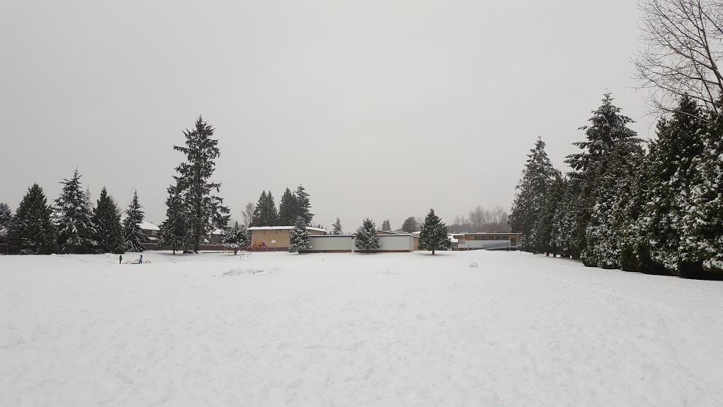 Frost Road Park | 8607 164a St, Surrey, BC V4N 1C7, Canada | Phone: (604) 591-4011