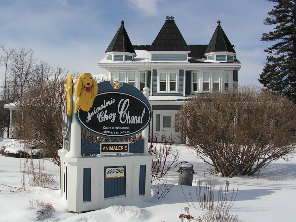 Francis Favreau Art Signs | 585 QC-147, Dixville, QC J0B 1P0, Canada | Phone: (819) 849-9328