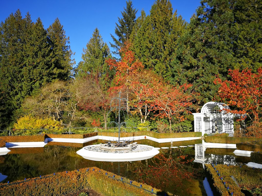 Star Pond | Brentwood Bay, BC V8M 1A6, Canada