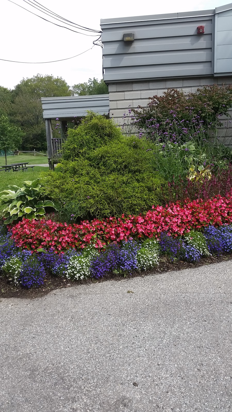 Curran Hall Community Centre | 277 Orton Park Rd, Scarborough, ON M1G 3T4, Canada | Phone: (416) 396-5156