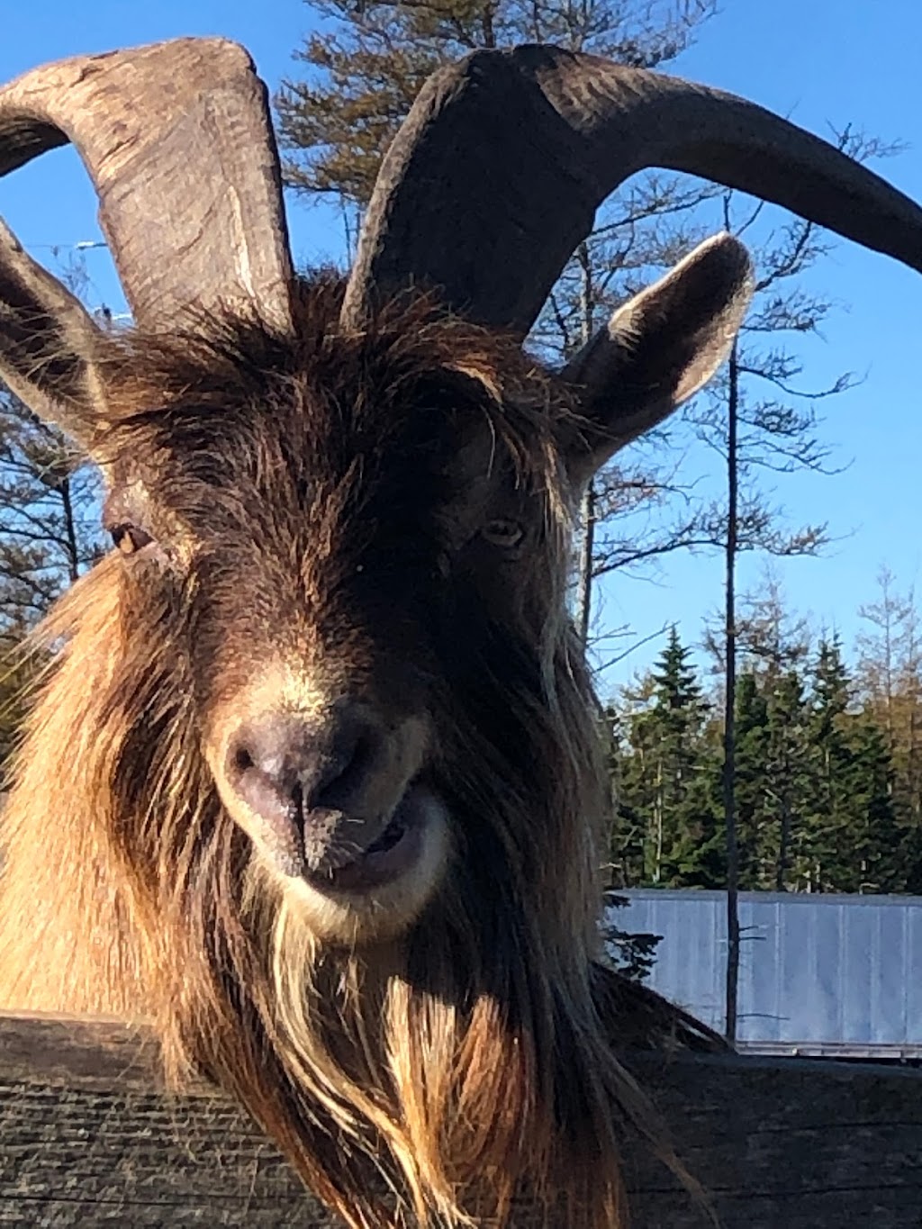 Ataraxy Farm | 33 Manetail Ln, Lawrencetown, NS B2Z 1S6, Canada | Phone: (902) 449-8109