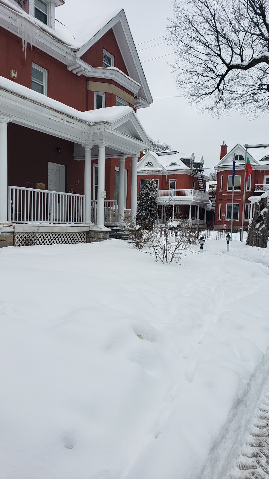 Embassy of Bulgaria | 325 Stewart St, Ottawa, ON K1N 6K5, Canada | Phone: (613) 789-3215