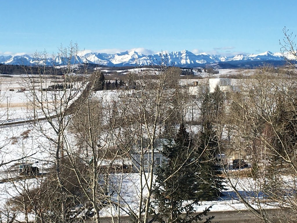 Bordernorth Tree Services & Construction | 224028 Priddis Ridge Rd W, Priddis, AB T0L 1W1, Canada | Phone: (587) 216-8372