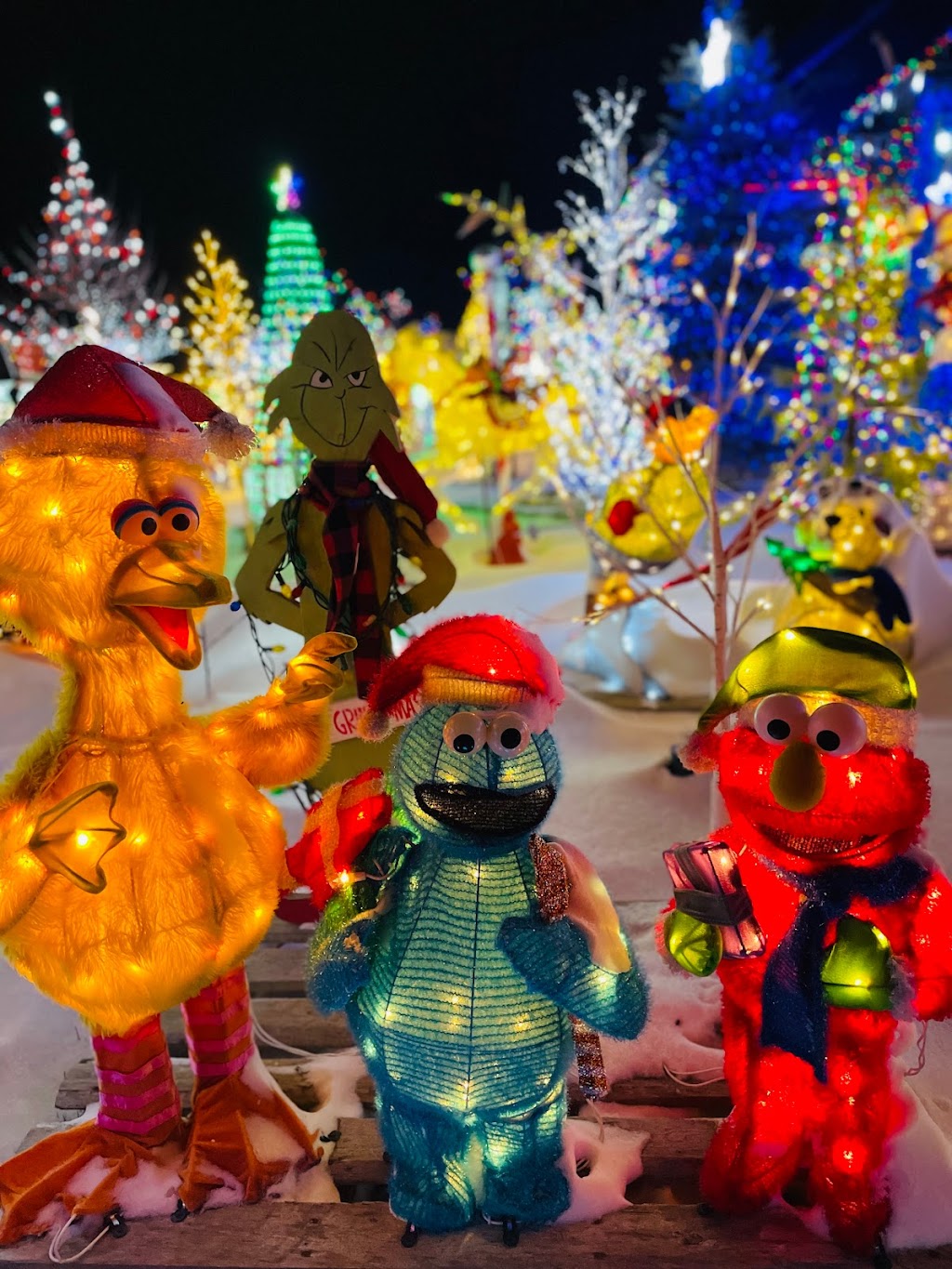 The Griswold Ilderton Christmas Display | 220 Songbird Ln, Ilderton, ON N0M 2A0, Canada | Phone: (519) 639-8860