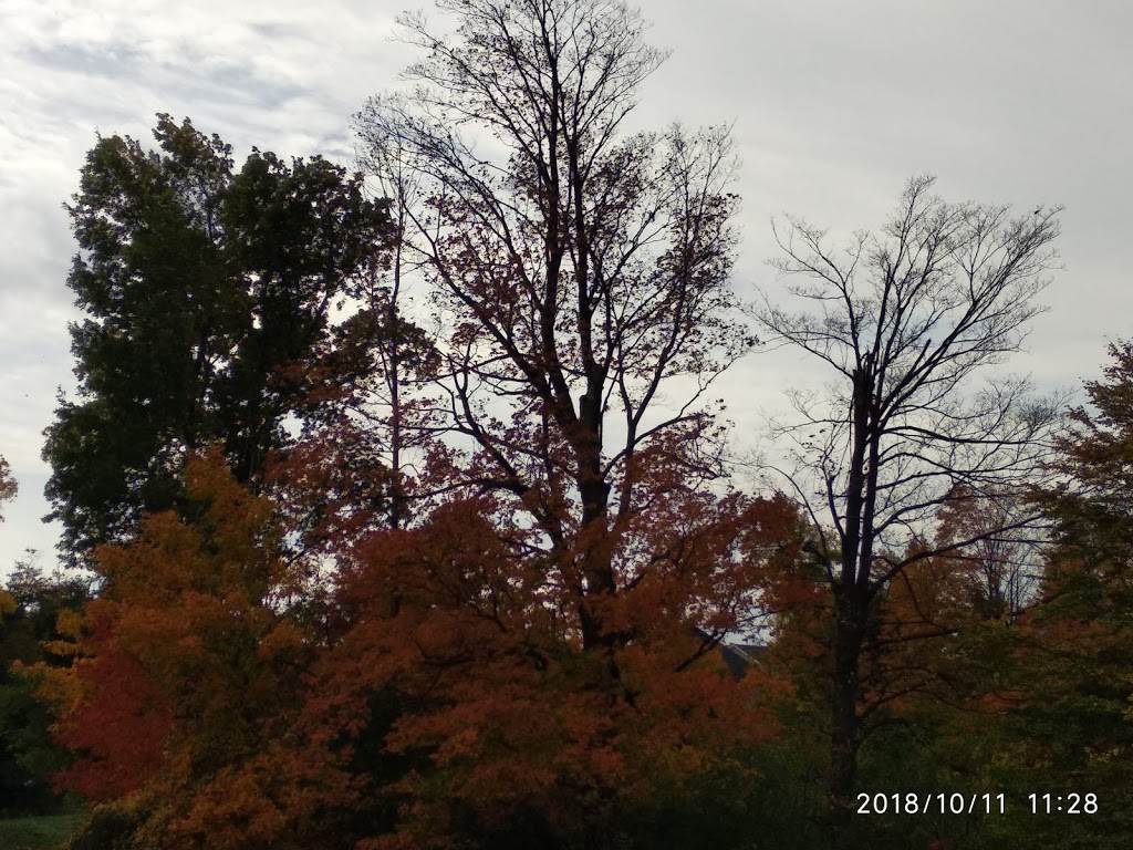 Claireville Conservation Area | 8180 Hwy 50, Brampton, ON L6T 0A6, Canada | Phone: (416) 661-6600